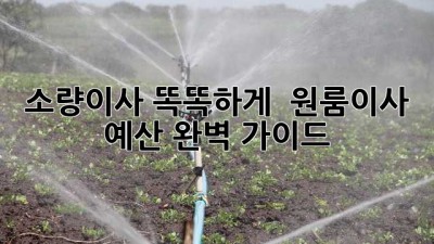 소량이사 똑똑하게! 💰 원룸이사 예산 완벽 가이드