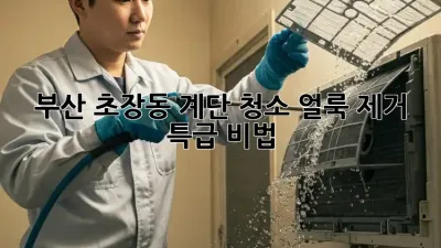 부산 초장동 계단 청소, 얼룩 제거 특급 비법!